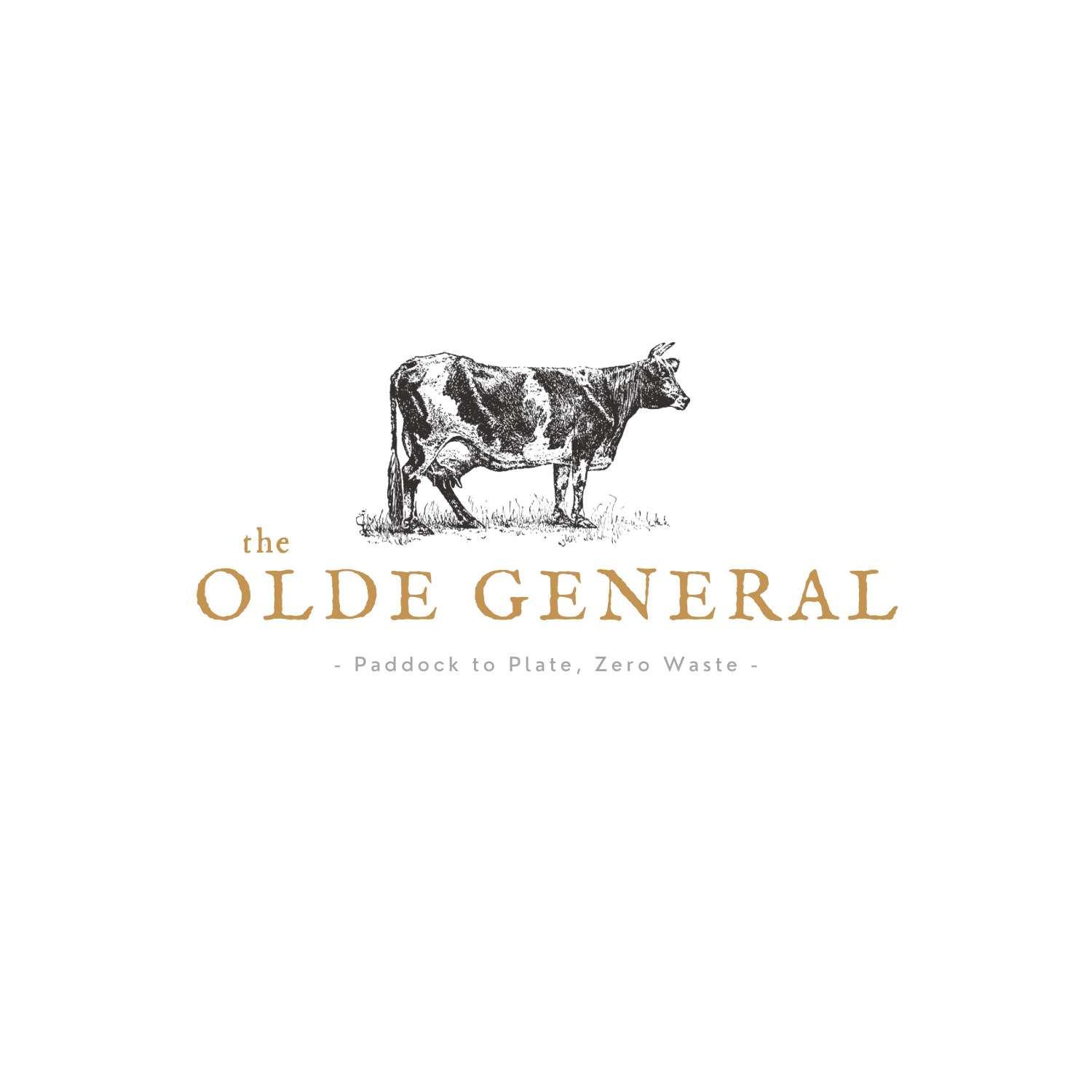 The Olde General Store